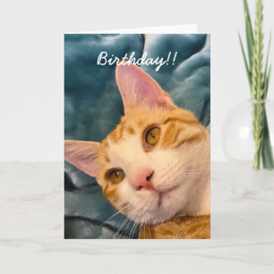 Cat Birthday Card