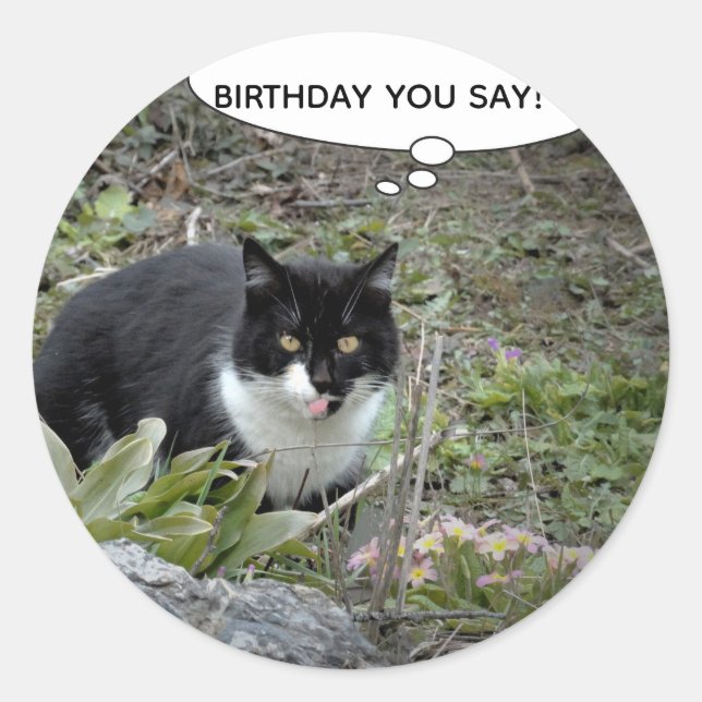 Cat Birthday  Custom Text Classic Sticker (Front)
