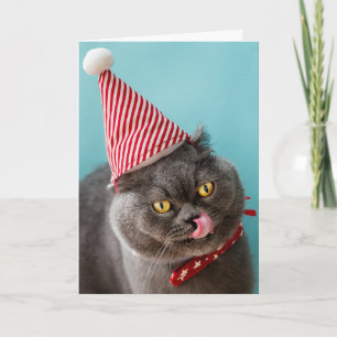 Cat Birthday Humour Card