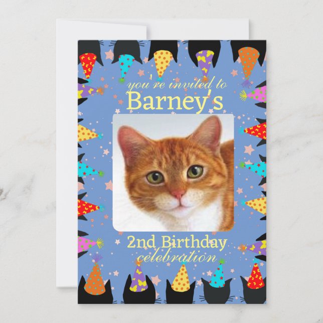 Cat Birthday Party Photo Invitation (Front)