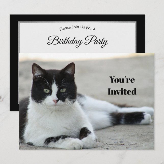 Cat Black and White Tuxedo Photo Birthday Invitation (Front/Back)