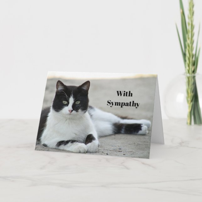 Cat Black and White Tuxedo Photo Sympathy Card (Front)