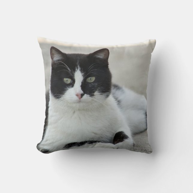 Cat Black and White Tuxedo Photo Throw Pillow (Front)