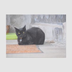 Cat Black Cute Vintage Antique Digital Paint Art Tissue Paper