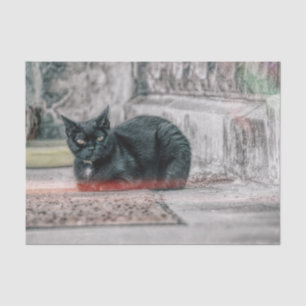 Cat Black Cute Vintage Antique Old Style Art Tissue Paper