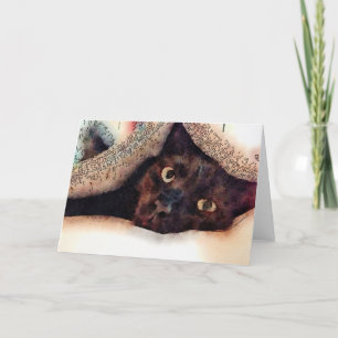 Cat Blank Greeting Card