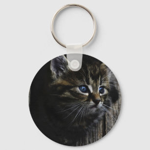 Cat blue eyes keychain