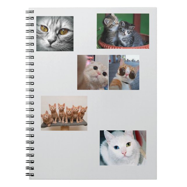 Cat Book (Front)