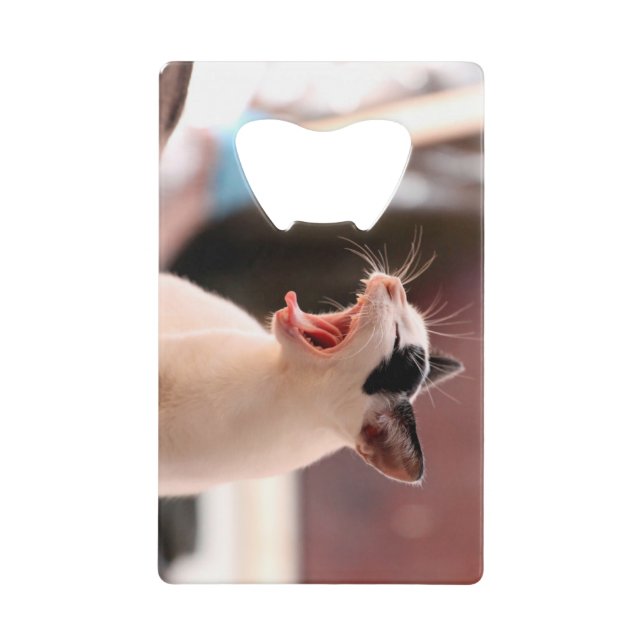 Cat Bottle Opener Credit Card Bottle Opener (Front)