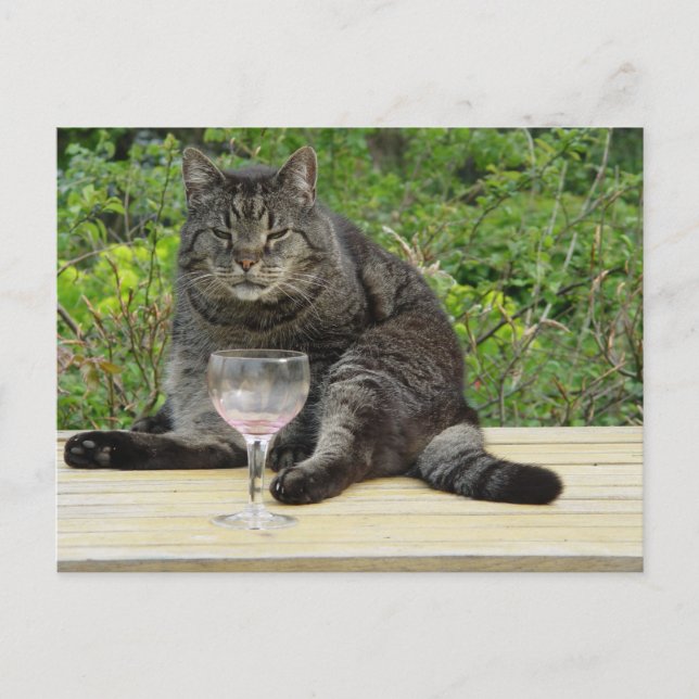 Cat 'Bram' on the table with a wine glass Postcard (Front)