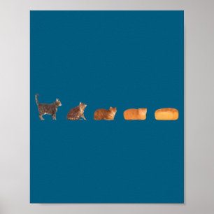 Cat bread loaf evolution funny cat mom cute kitten poster