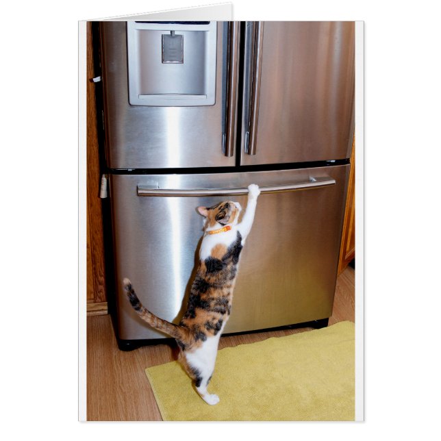 Cat breaking into fridge, believe in yourself card (Front)