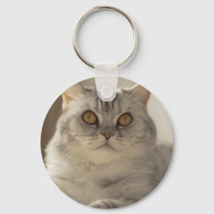 Cat, British short hair, Feline Keychain