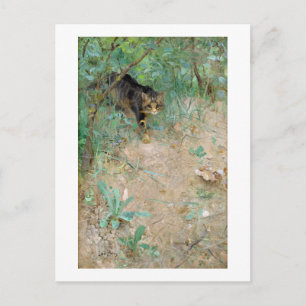 Cat, Bruno Liljefors Postcard