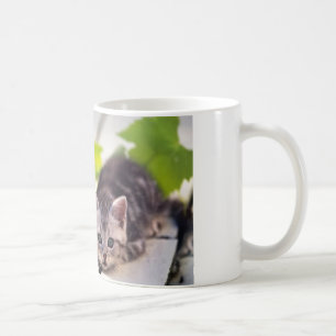 Cat & Bunny Best Friends Mug