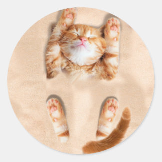 Cat buried in the sand classic round sticker