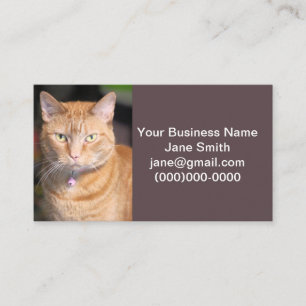Cat Business Card
