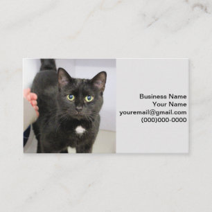 Cat Business Card