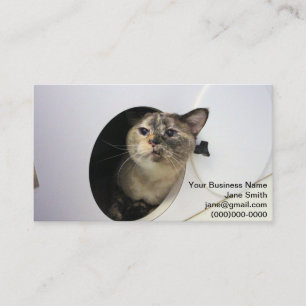 Cat business card