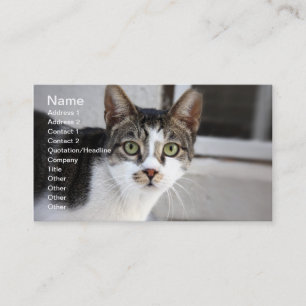 Cat Business Card