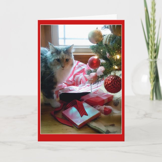 Cat busted opening Christmas present early Holiday Card (Front)