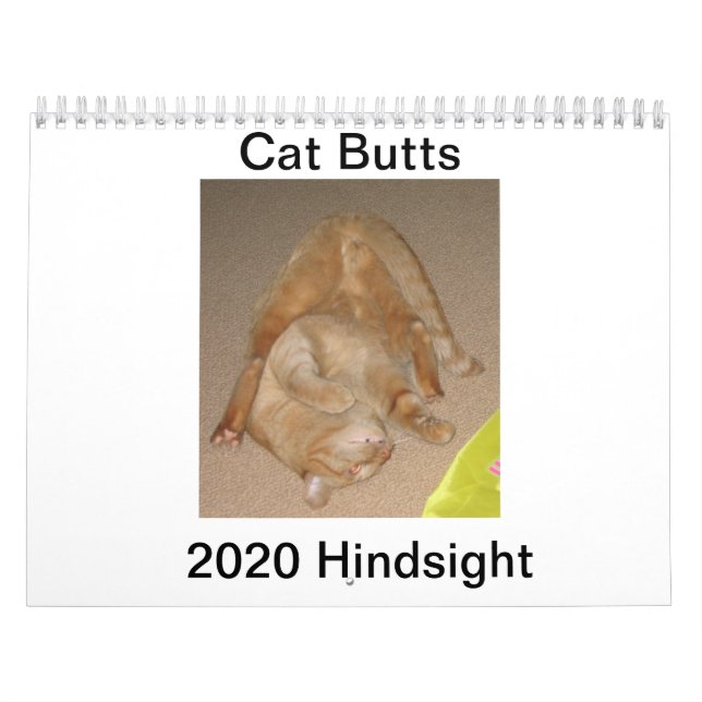 Cat Butt 2020 Calendar (Cover)