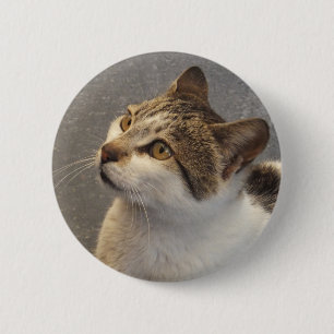 Cat button