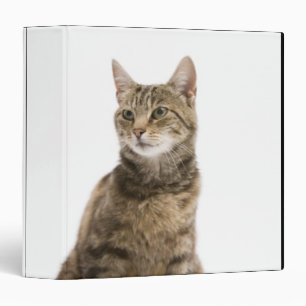 Cat by bowl binder