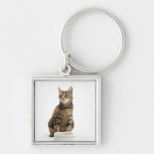 Cat by bowl keychain