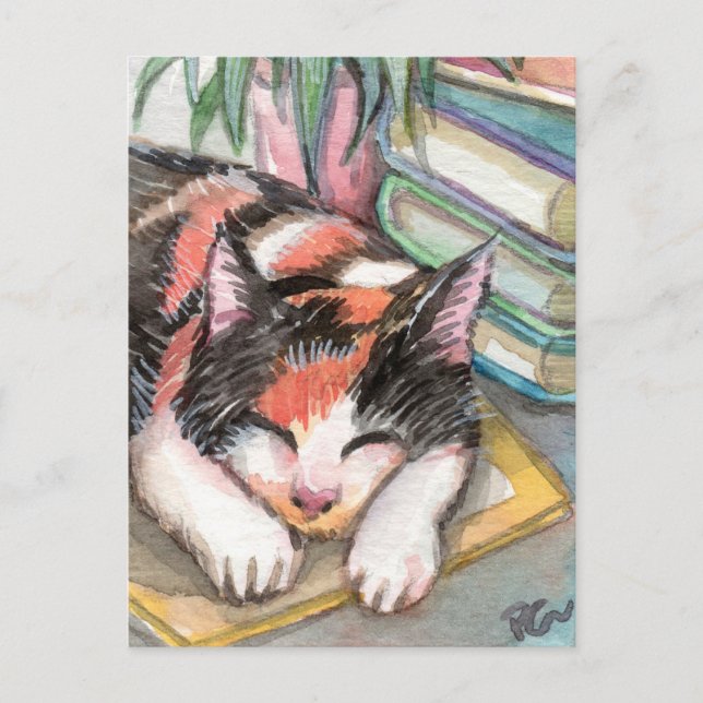 Cat by the Books Postcard (Front)