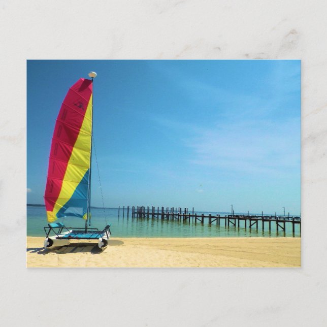 Cat by the Sea  -  Sailing Postcard (Front)