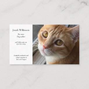 Cat by the window Business Card