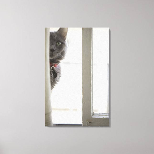 Cat by window canvas print (Front)