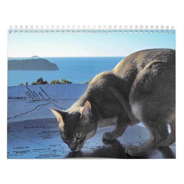 Cat Calendar (Cover)