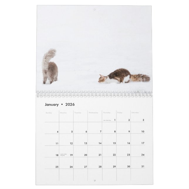 Cat Calendar 2012 (Jan 2026)
