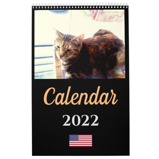 Cat Calendar 2022 (Cover)