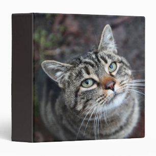Cat Camera Pet Binder