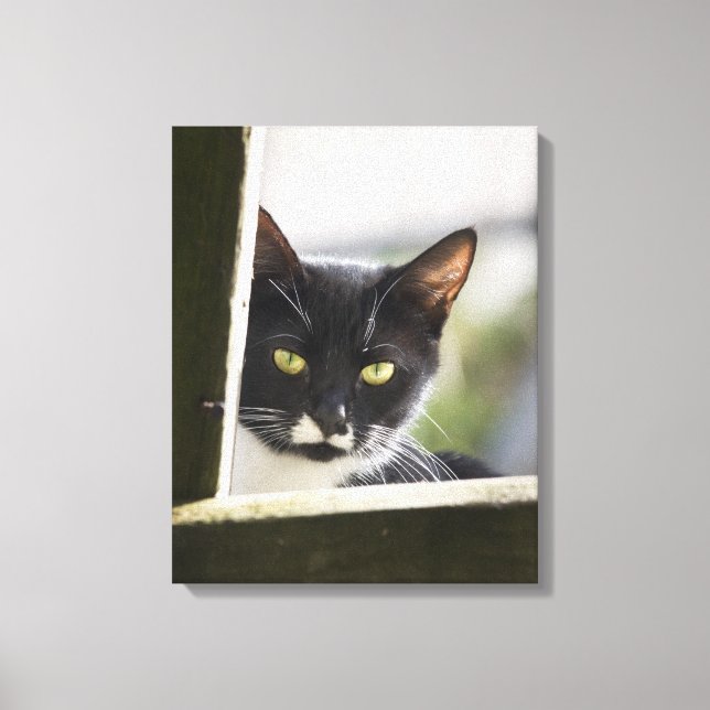 Cat Canvas Print (Front)