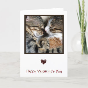 Cat Card