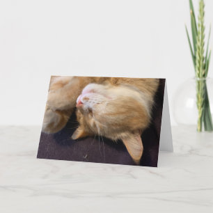 Cat card
