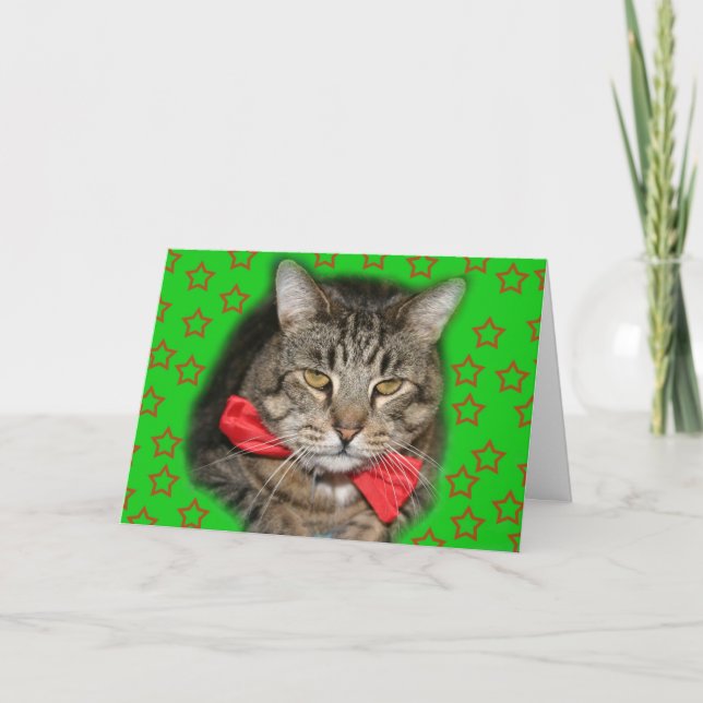 cat card (Front)