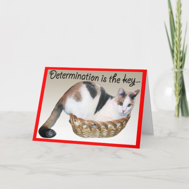 Cat Cards,Funny Encouragement to a Friend Card (Front)