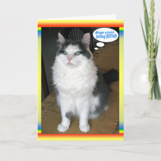 Cat Cards,Funny Get well Card