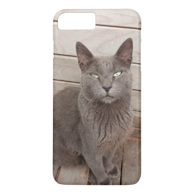 Cat Case-Mate iPhone Case (Back)