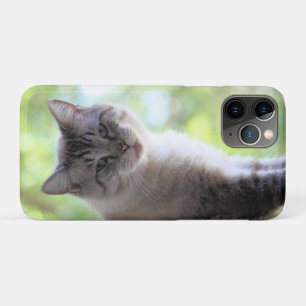 Cat iPhone 11 Pro Case