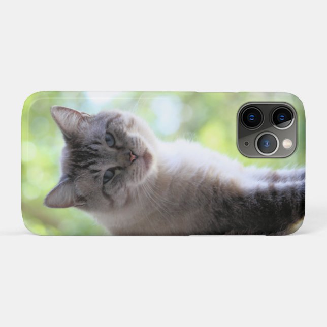 Cat Case-Mate iPhone Case (Back (Horizontal))