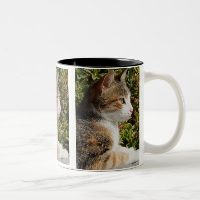 Cat Cat Mug (Droit)