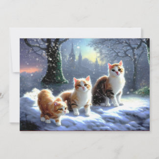Cat, Cats in snow Christmas Card