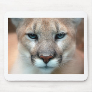 Cat Cats wild stripe print diy Anniversaries Mouse Pad