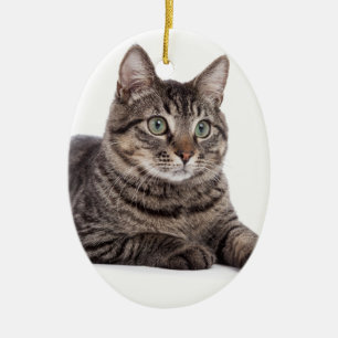 Cat Ceramic Ornament
